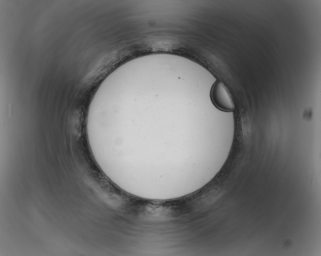 X0000116650311200912291622