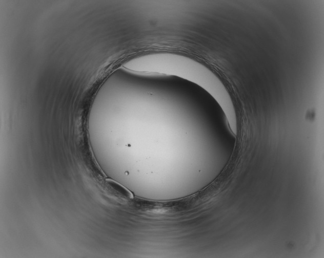 X0000116650312200912291622