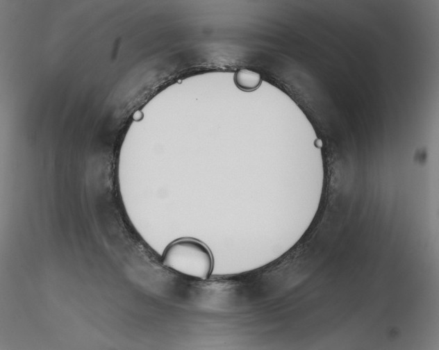 X0000116650313200912291621