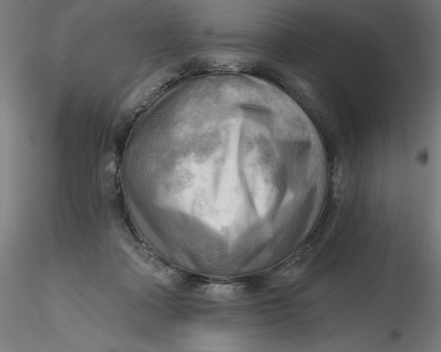 X0000116650314200912291621