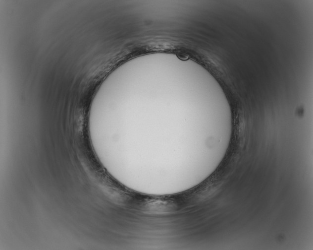 X0000116650315200912291621