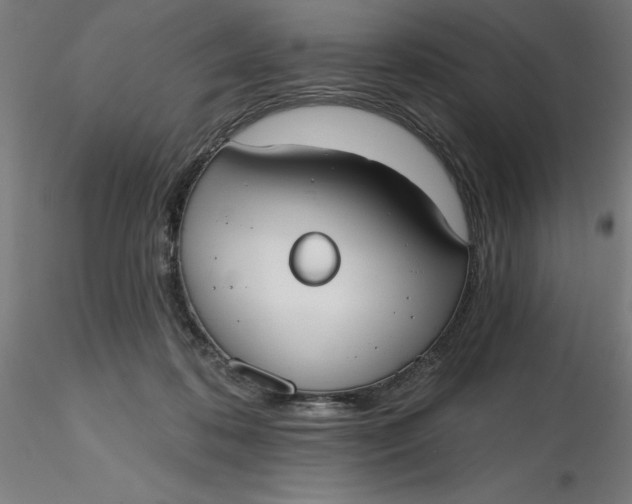 X0000116650316200912291621