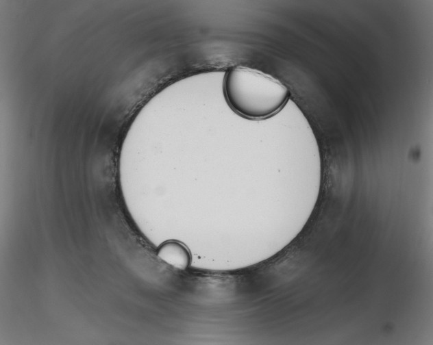 X0000116650317200912291621