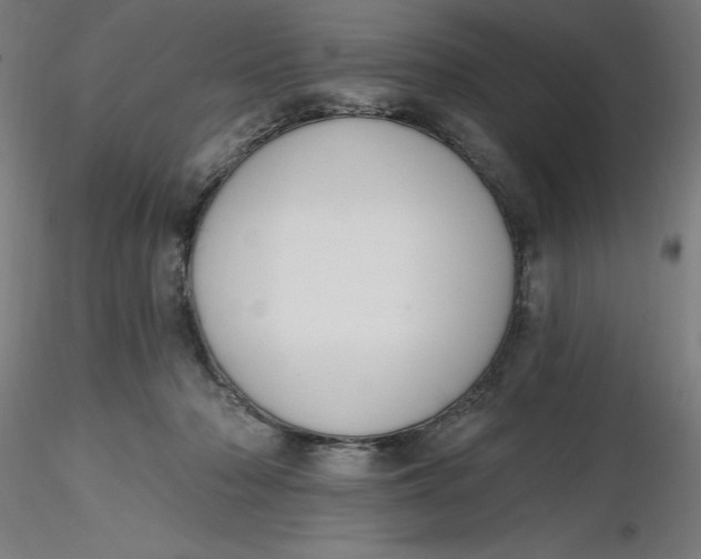 X0000116650318200912291621