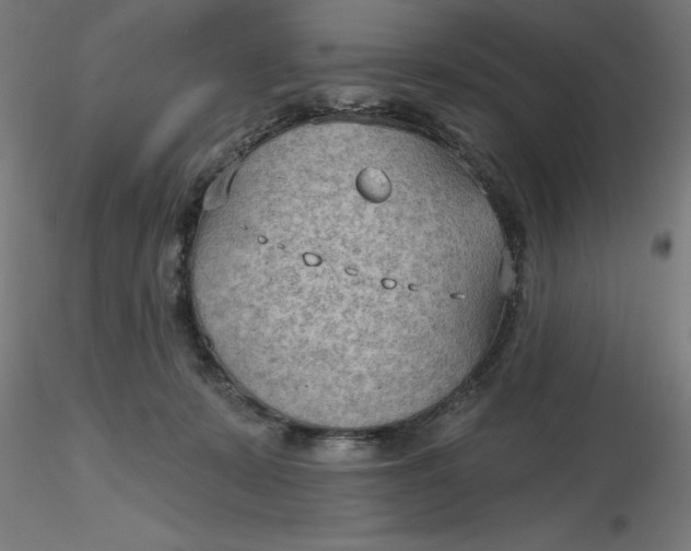 X0000116650319200912291621