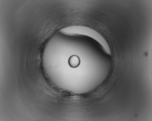 X0000116650320200912291621