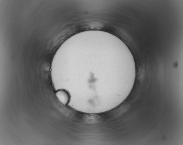 X0000116650321200912291621