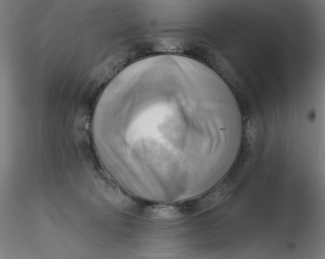 X0000116650322200912291621