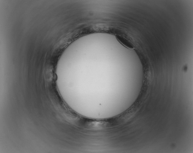 X0000116650323200912291621