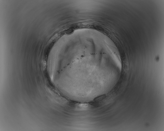 X0000116650324200912291621