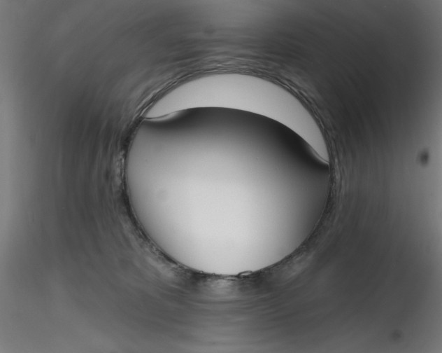 X0000116650325200912291621