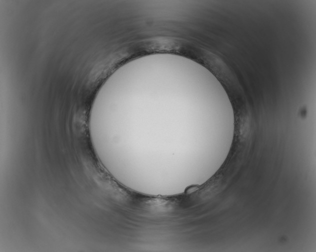 X0000116650326200912291621