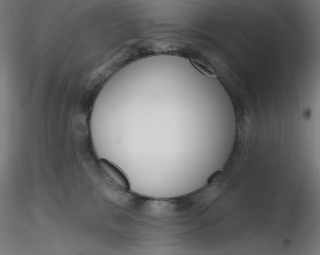 X0000116650327200912291621