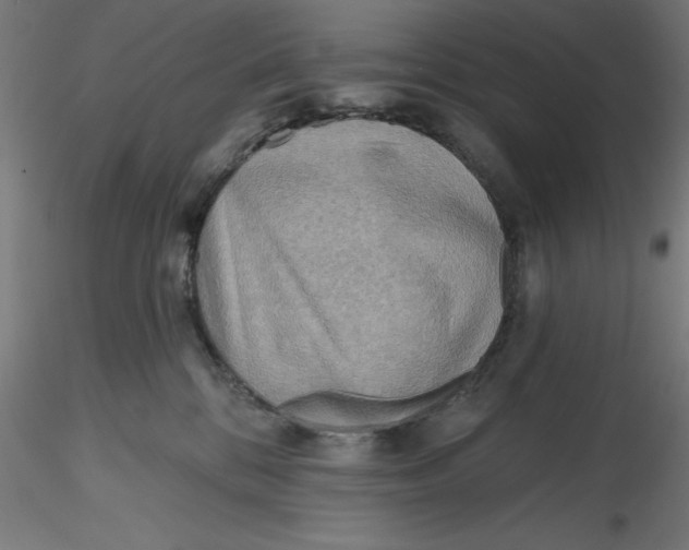 X0000116650328200912291621