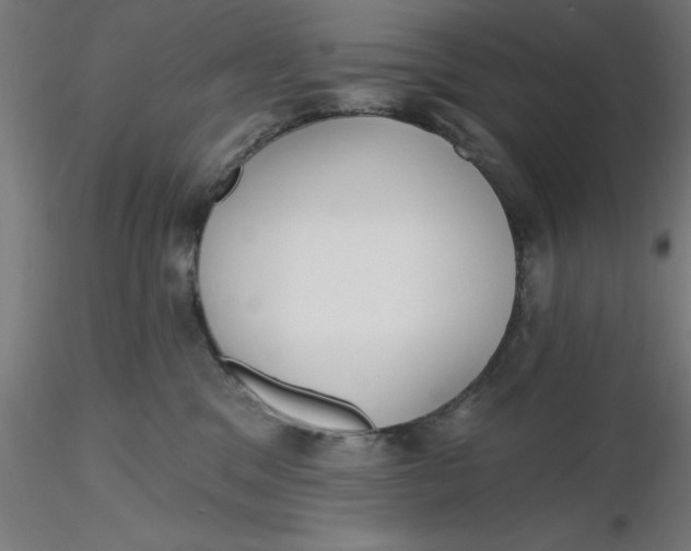 X0000116650329200912291621