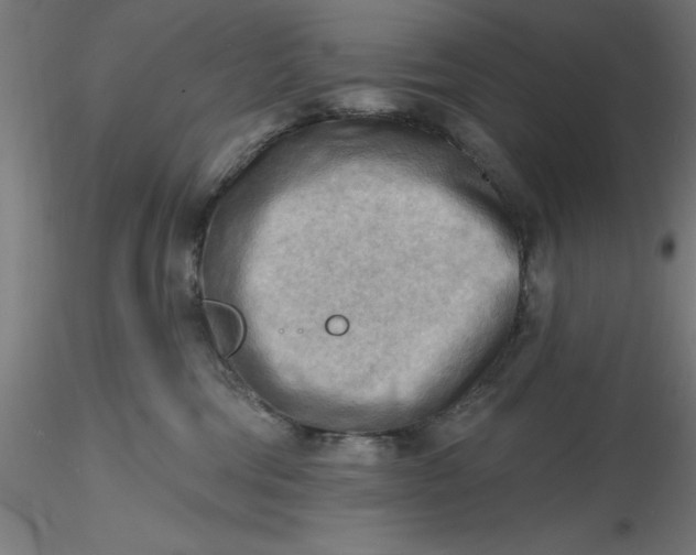 X0000116650330200912291621