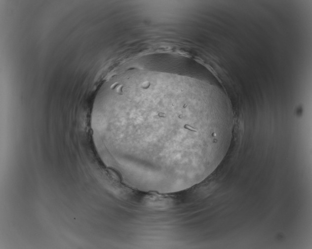 X0000116650331200912291621