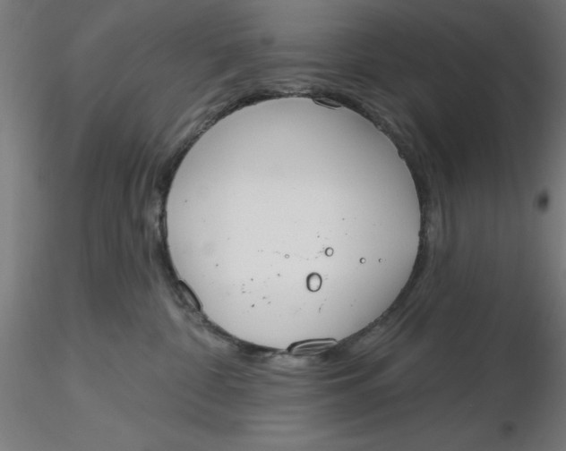 X0000116650332200912291621