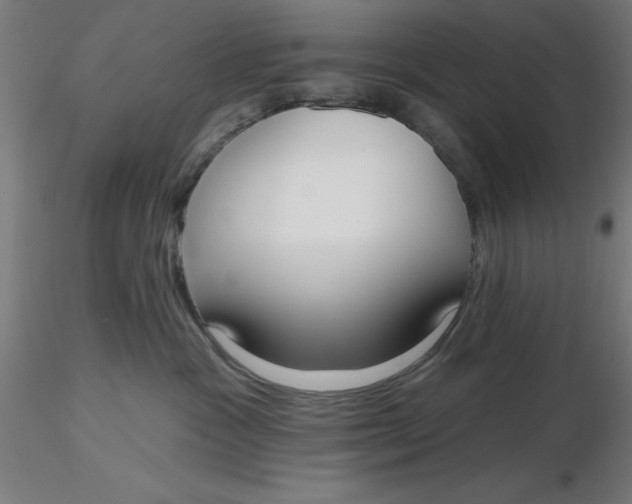 X0000116650333200912291621