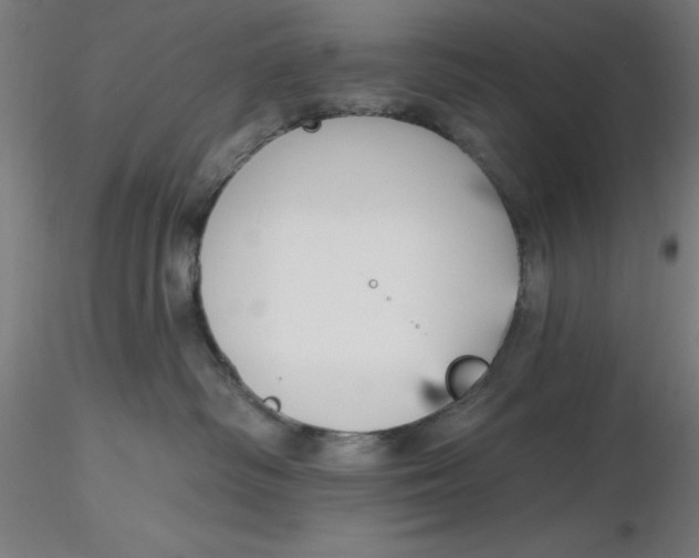 X0000116650334200912291621