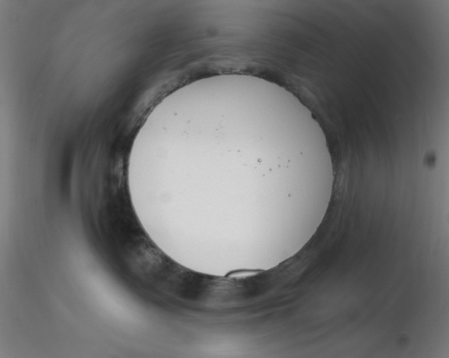 X0000116650335200912291621