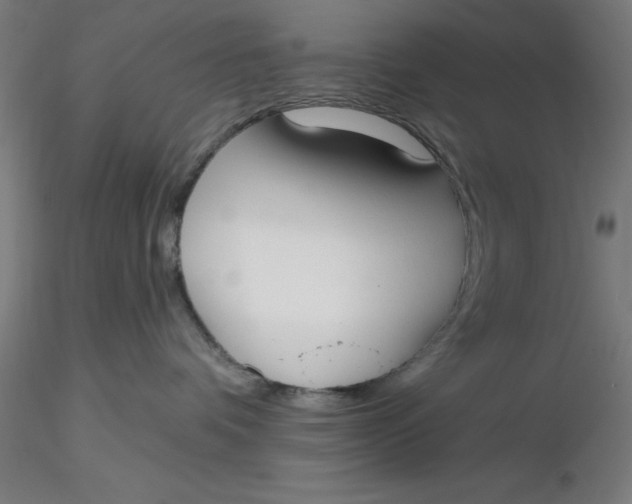 X0000116650336200912291621