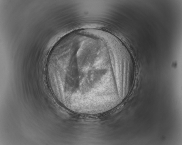 X0000116650337200912291621