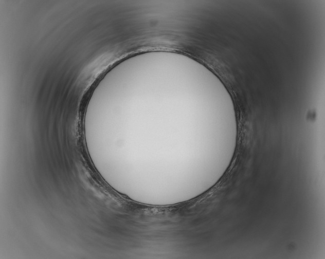 X0000116650338200912291621