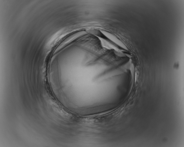 X0000116650339200912291621