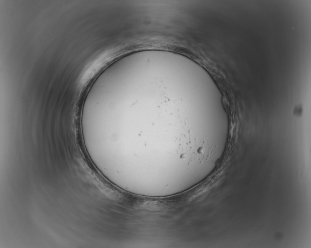 X0000116650341200912291621