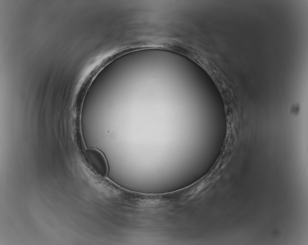 X0000116650342200912291621