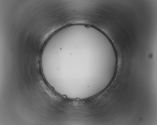 X0000116650345200912291621