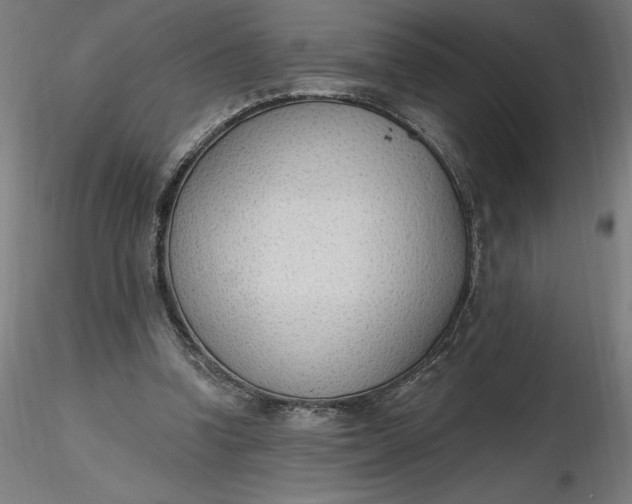 X0000116650346200912291621