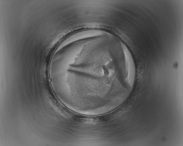 X0000116650347200912291621