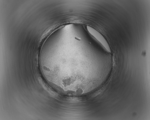 X0000116650349200912291621