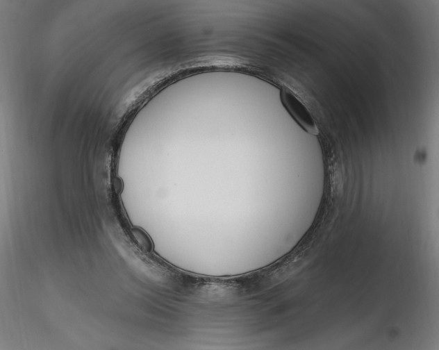 X0000116650350200912291621