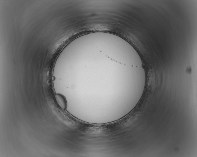 X0000116650351200912291621