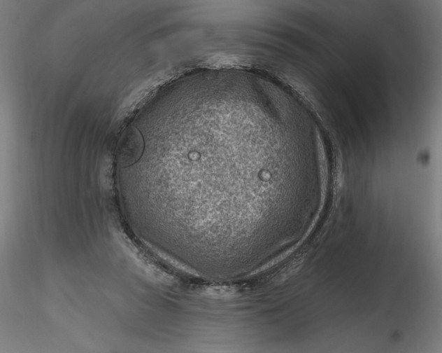 X0000116650353200912291621