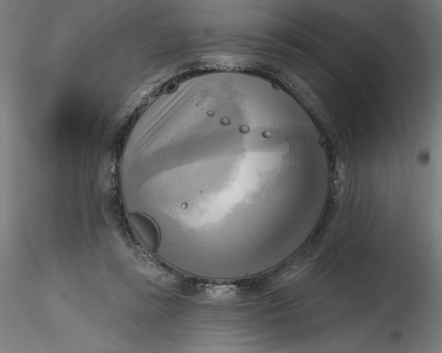 X0000116650355200912291621