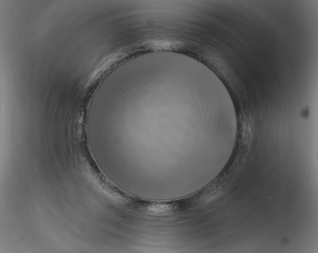 X0000116650357200912291621