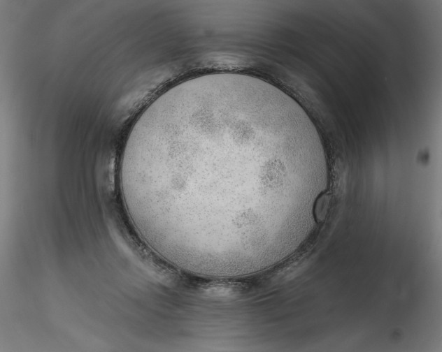 X0000116650358200912291621