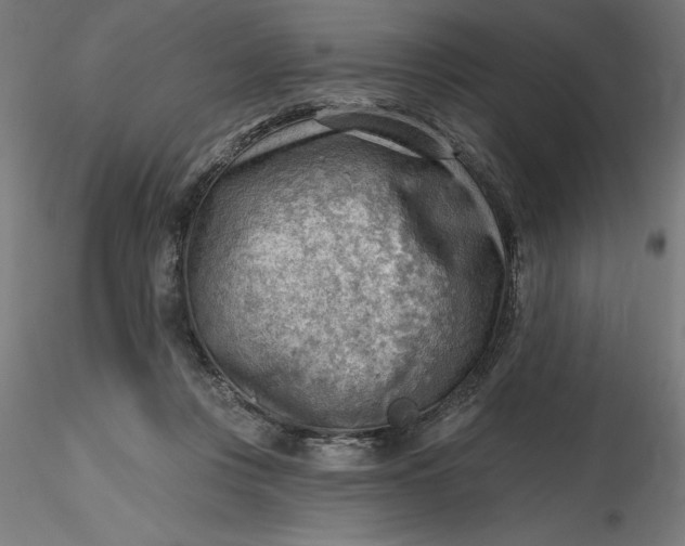 X0000116650359200912291621