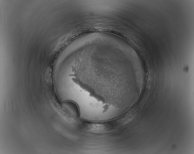 X0000116650361200912291621