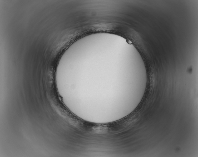 X0000116650362200912291621