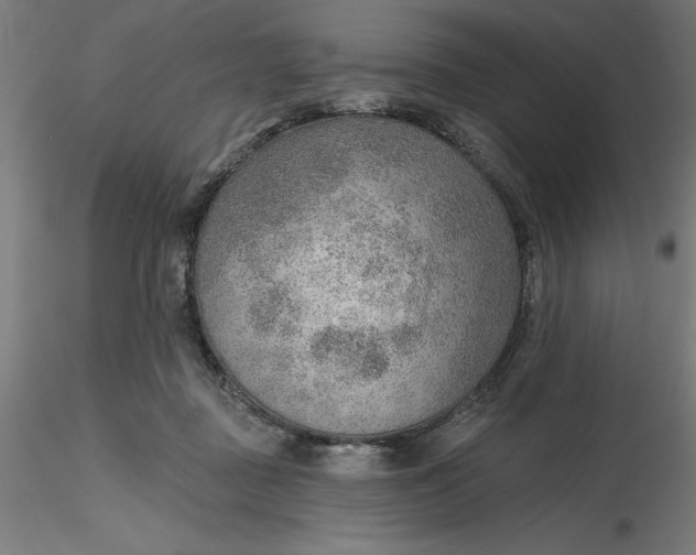 X0000116650363200912291621