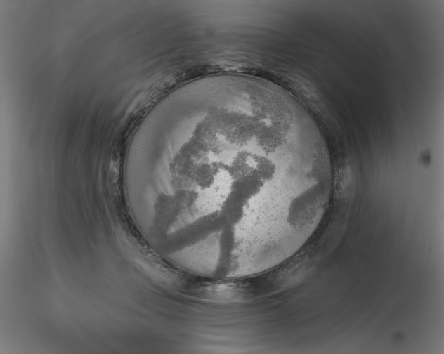 X0000116650365200912291621