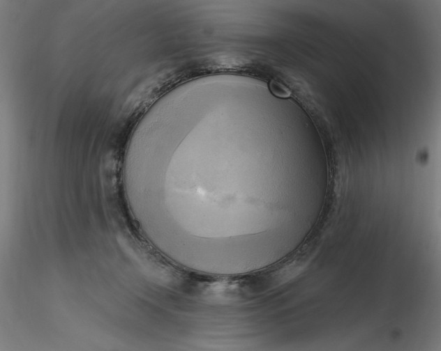 X0000116650366200912291621