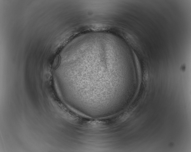 X0000116650367200912291621