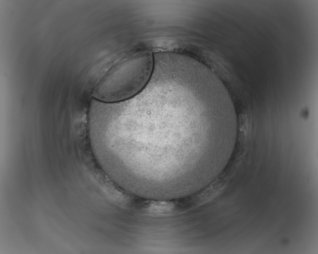 X0000116650369200912291621