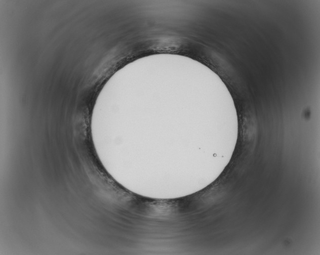 X0000116650370200912291621